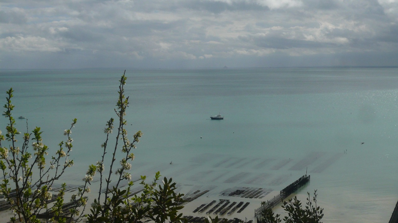 Photo of Others in Combourg