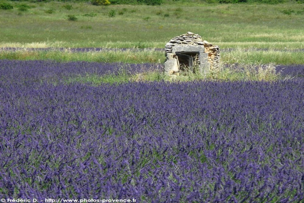 Photo of Outdoor in Bras-d'Asse