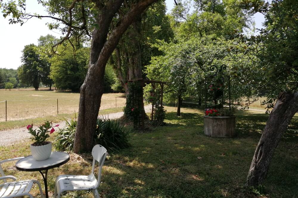 Photo of Outdoor in Piney