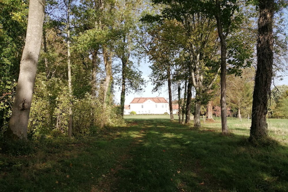 Photo of Outdoor in Piney