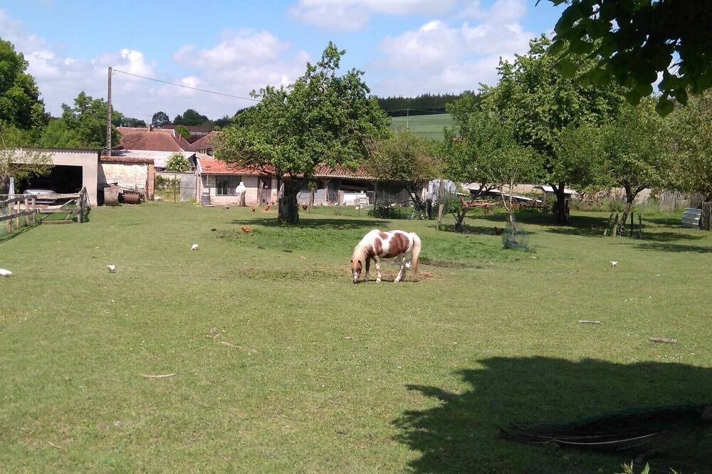 Photo of Outdoor in Piney