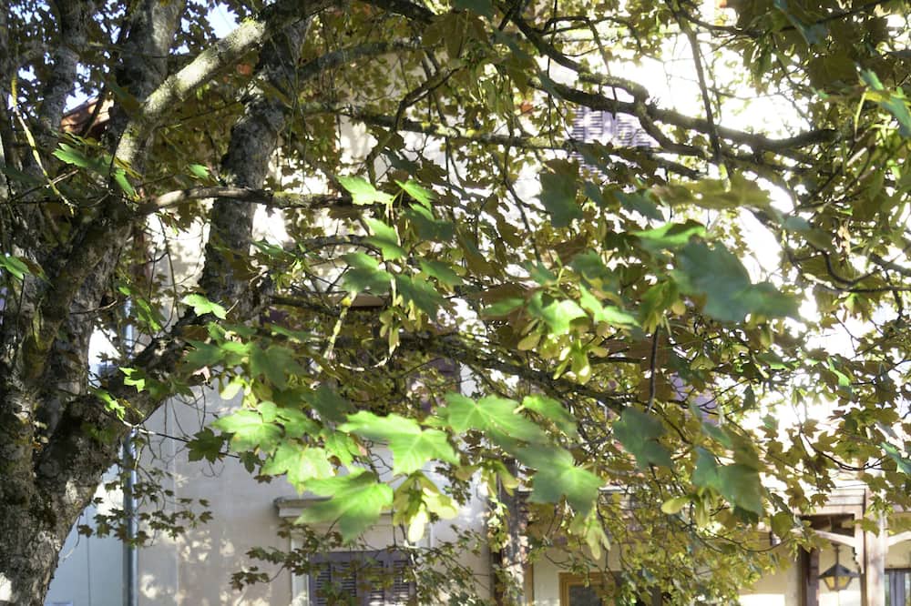 Photo of Outdoor in Valderoure
