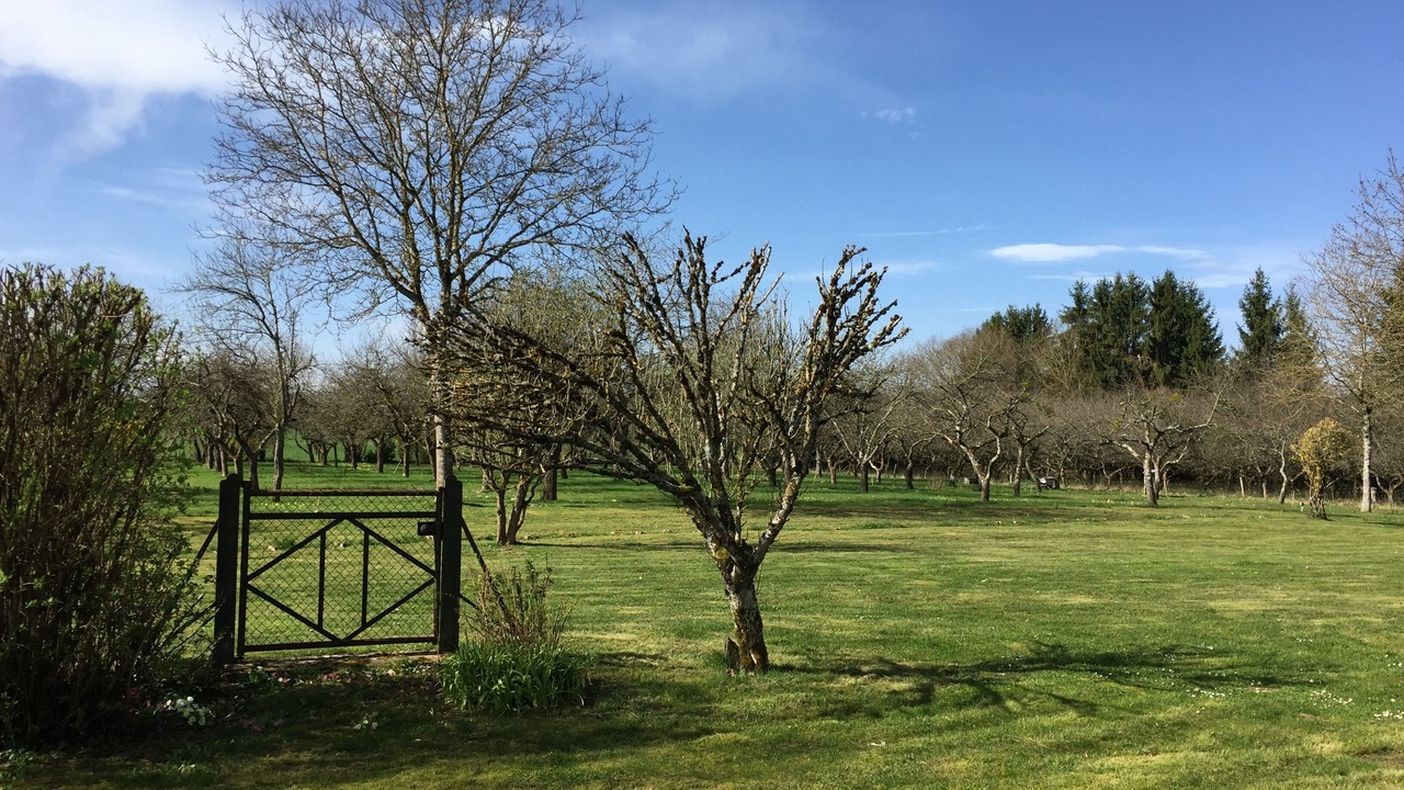 Photo of Others in Saint-Mards-en-Othe