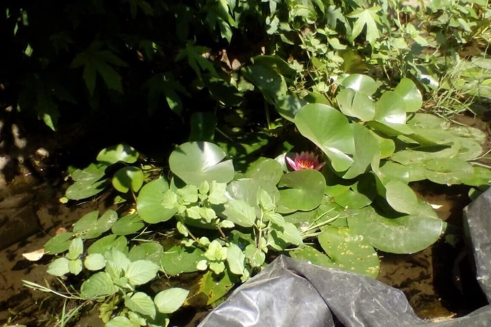 Photo of Outdoor in Plemet