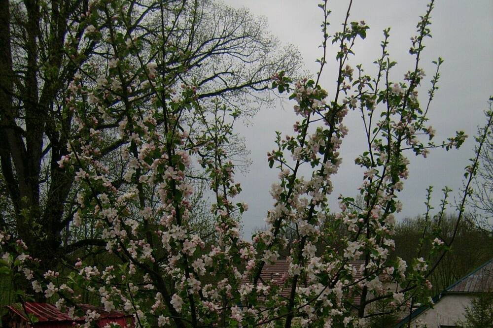 Photo of Outdoor in Les Chalesmes