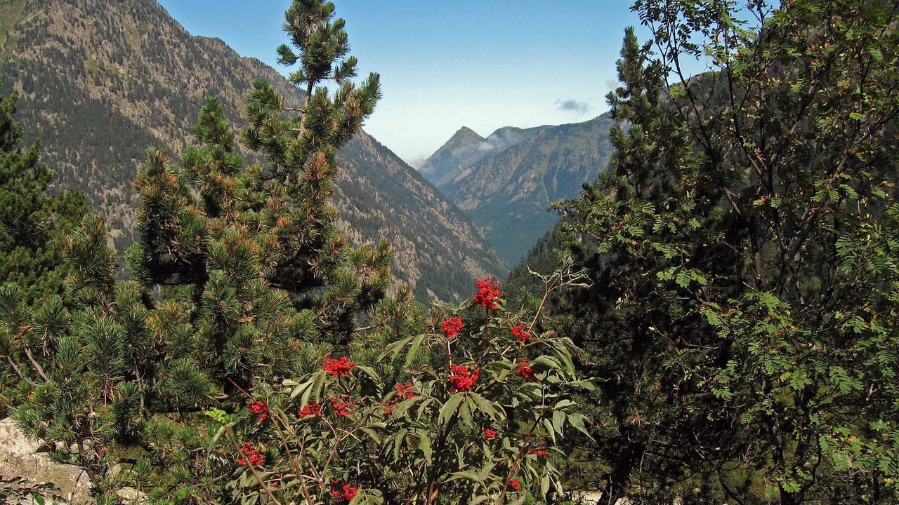 Photo of Outdoor in Larreule