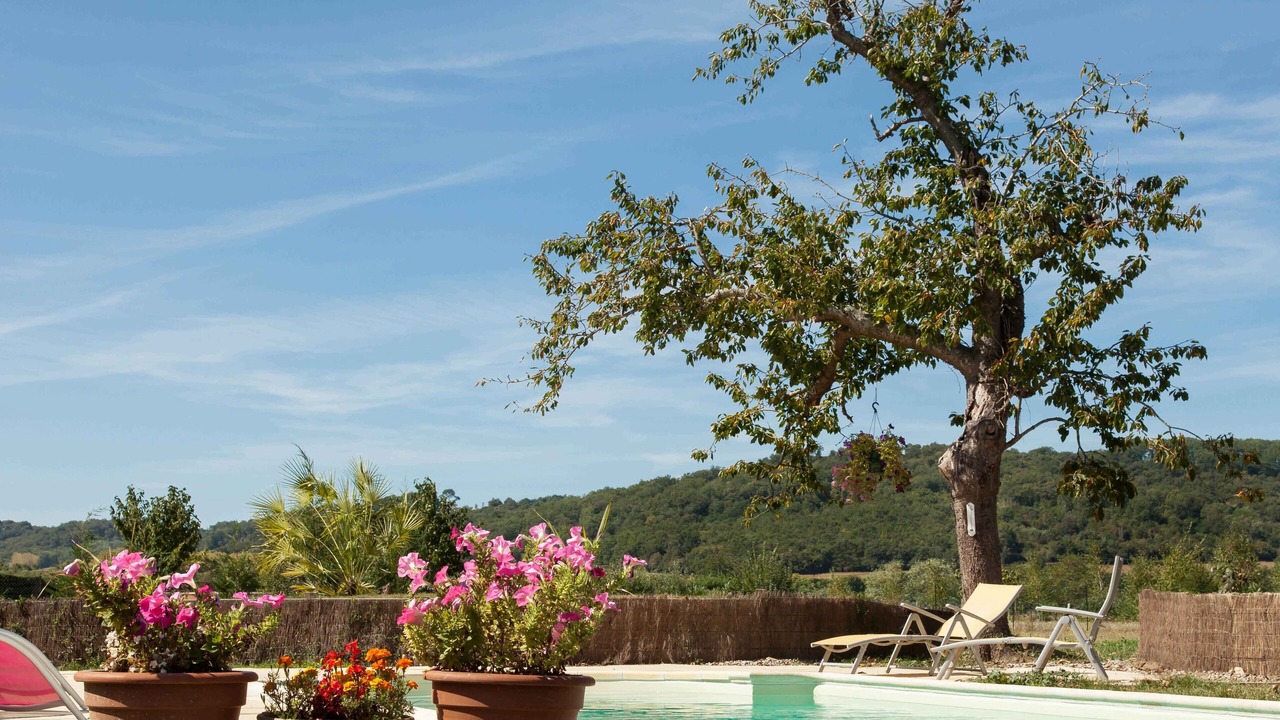 Photo of Outdoor in Larreule