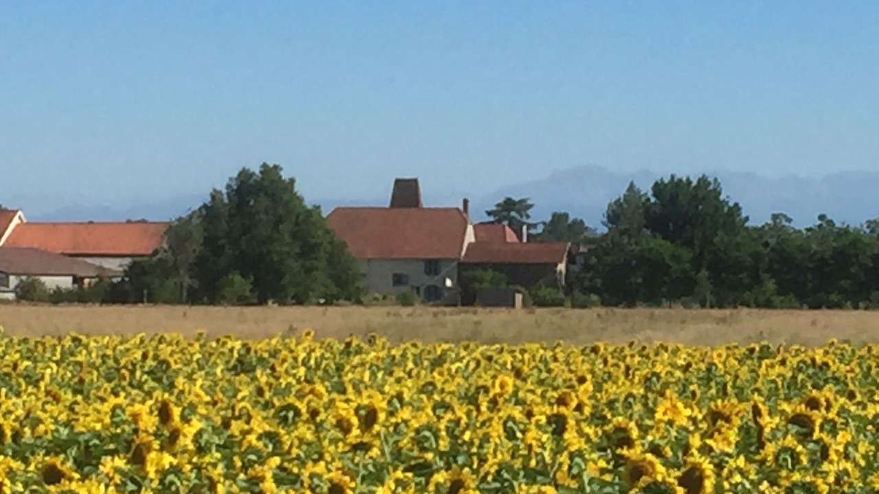 Photo of Outdoor in Larreule