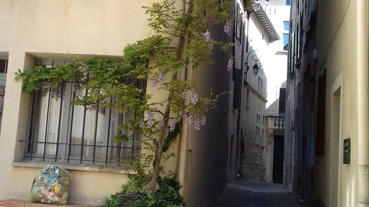 Photo of Outdoor in Aramon