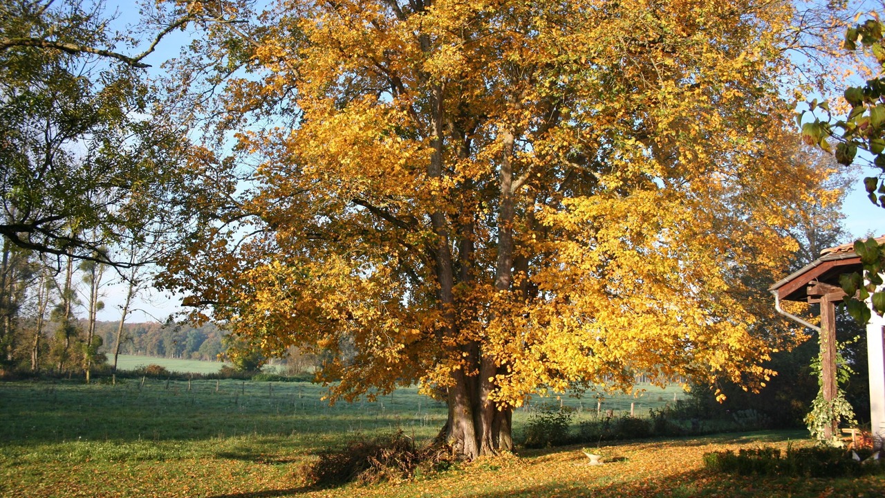Photo of Outdoor in Les Charmontois