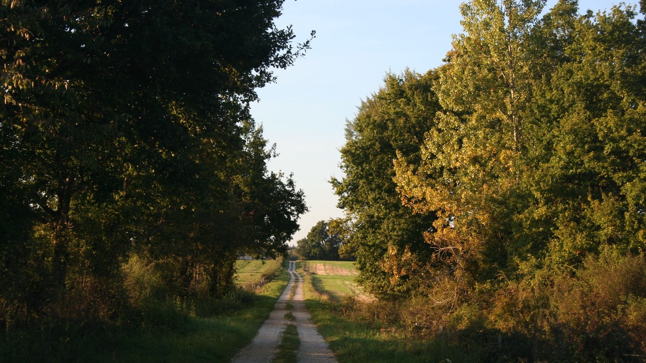Photo of Outdoor in Les Charmontois