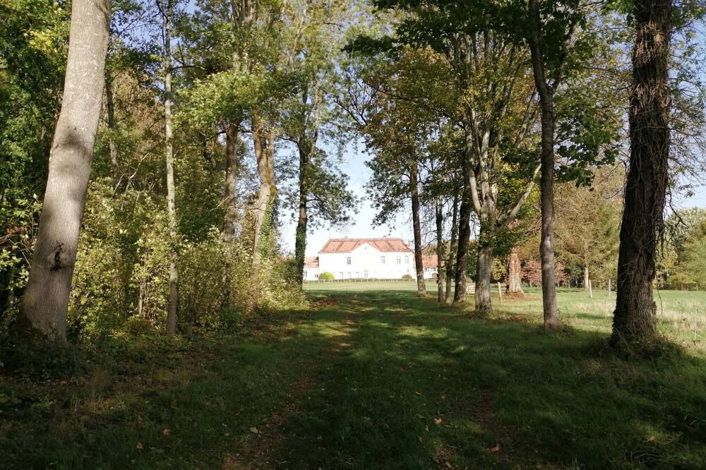 Photo of Outdoor in Piney