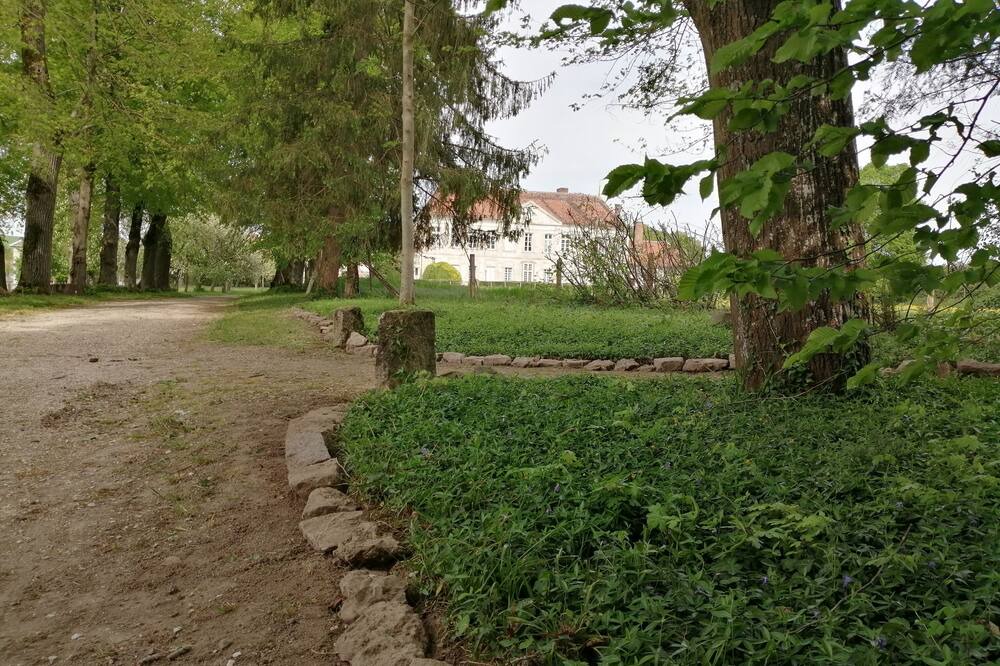 Photo of Outdoor in Piney