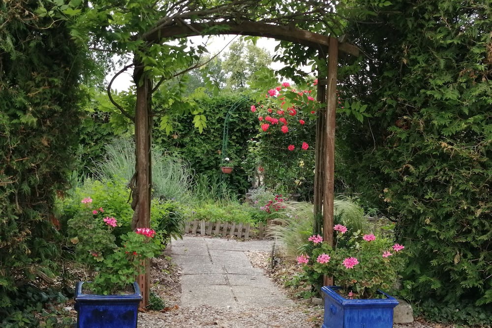 Photo of Outdoor in Piney
