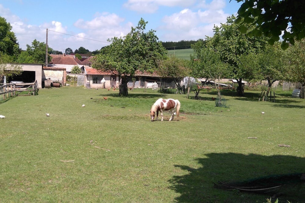 Photo of Outdoor in Piney