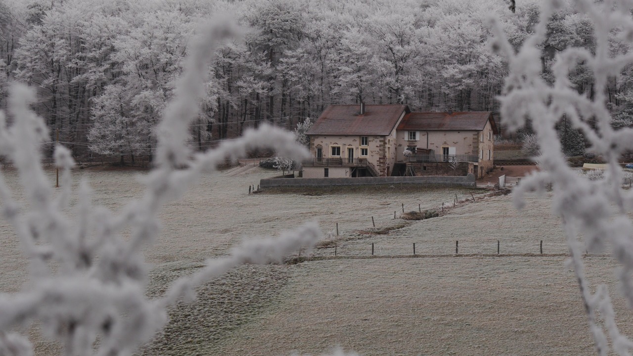 Photo of Outdoor in Uzemain