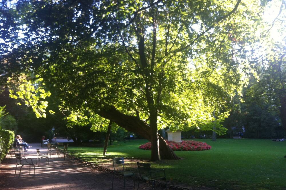 Photo of Outdoor in Notre-Dame-des-Champs