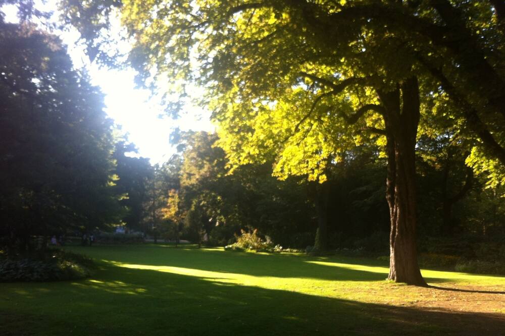 Photo of Outdoor in Notre-Dame-des-Champs