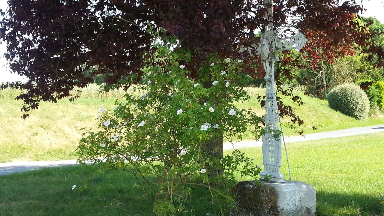 Photo of Outdoor in Menil-Lepinois