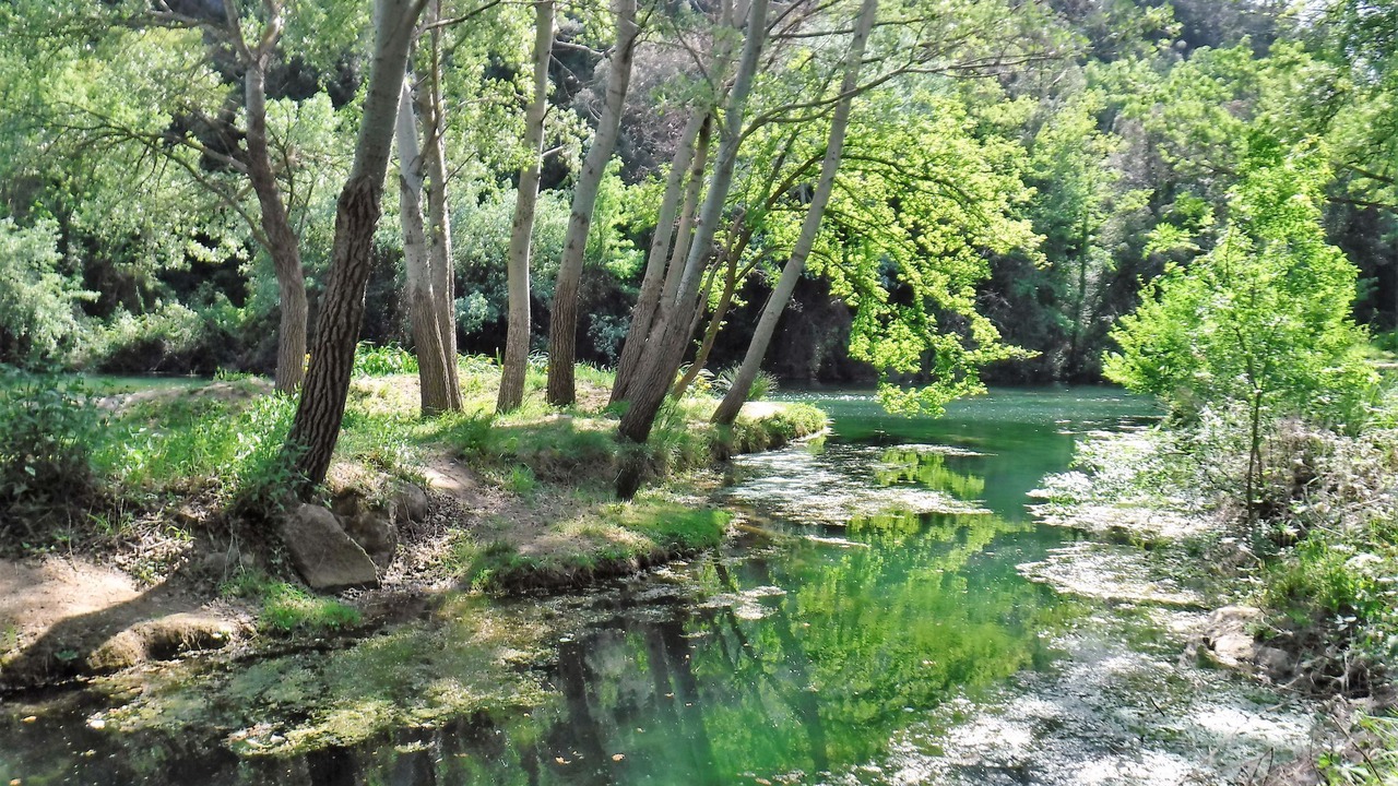 Photo of Outdoor in Brignoles
