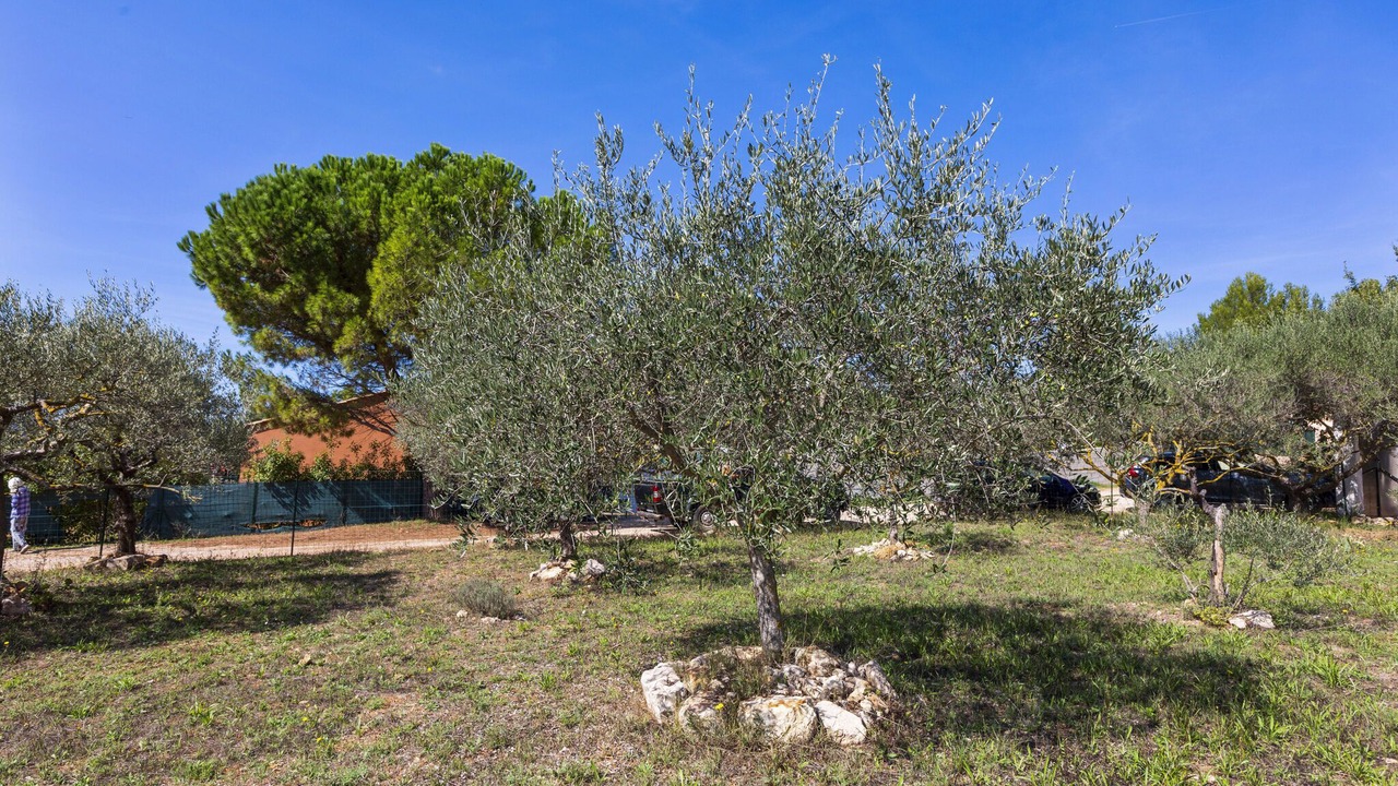 Photo of Outdoor in Brignoles