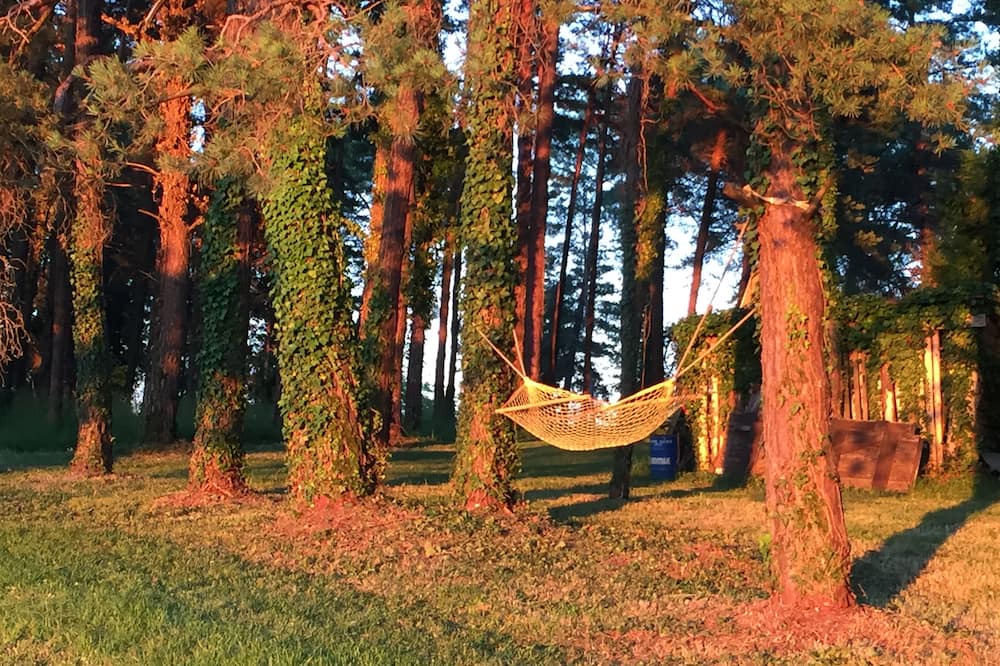 Photo of Outdoor in Eyliac
