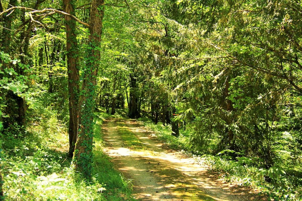 Photo of Outdoor in Eyliac