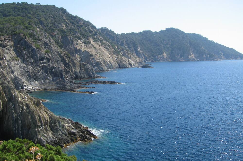 Photo of Others in Port-Cros