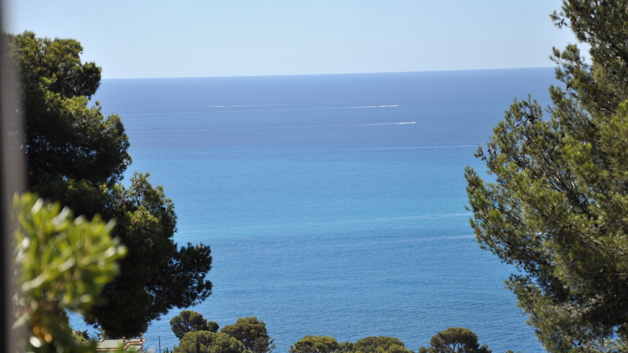 Photo of Others in Cap d'Ail