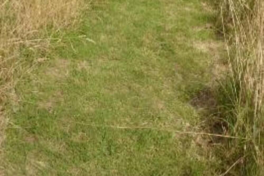 Photo of Outdoor in Lezardrieux