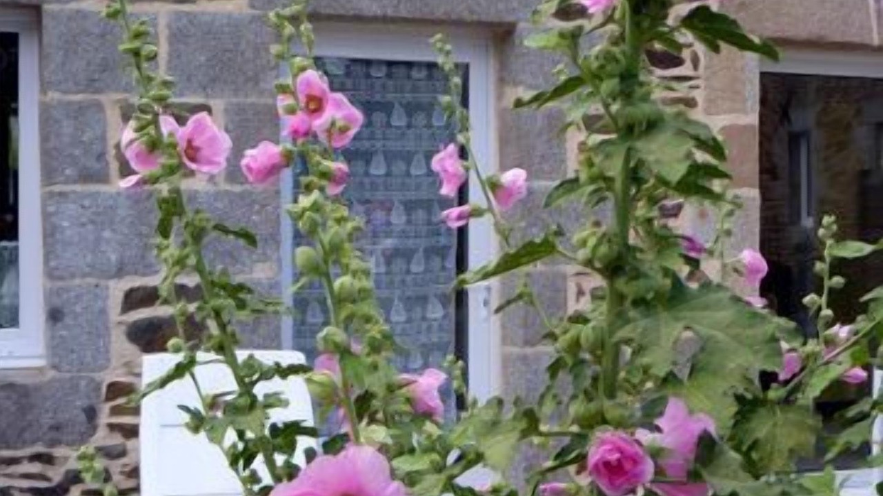 Photo of Outdoor in Ploezal
