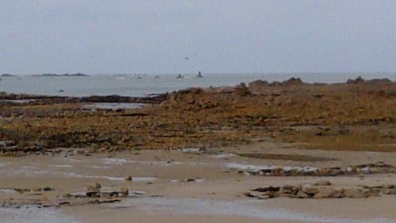 Photo of Others in Ploezal