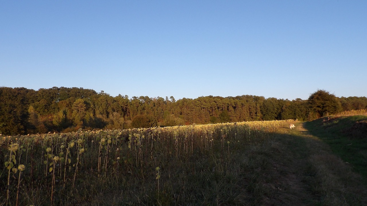 Photo of Others in Fossemagne