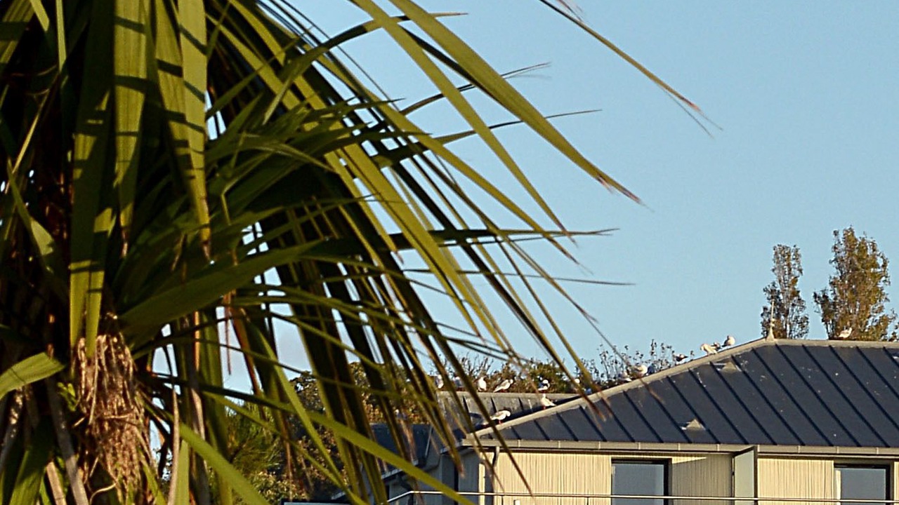 Photo of Outdoor in Concarneau
