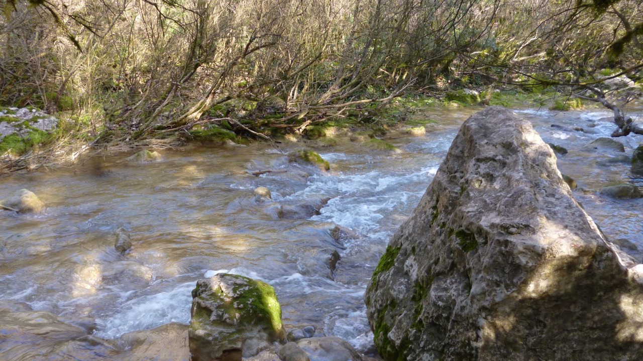 Photo of Others in Vallerargues