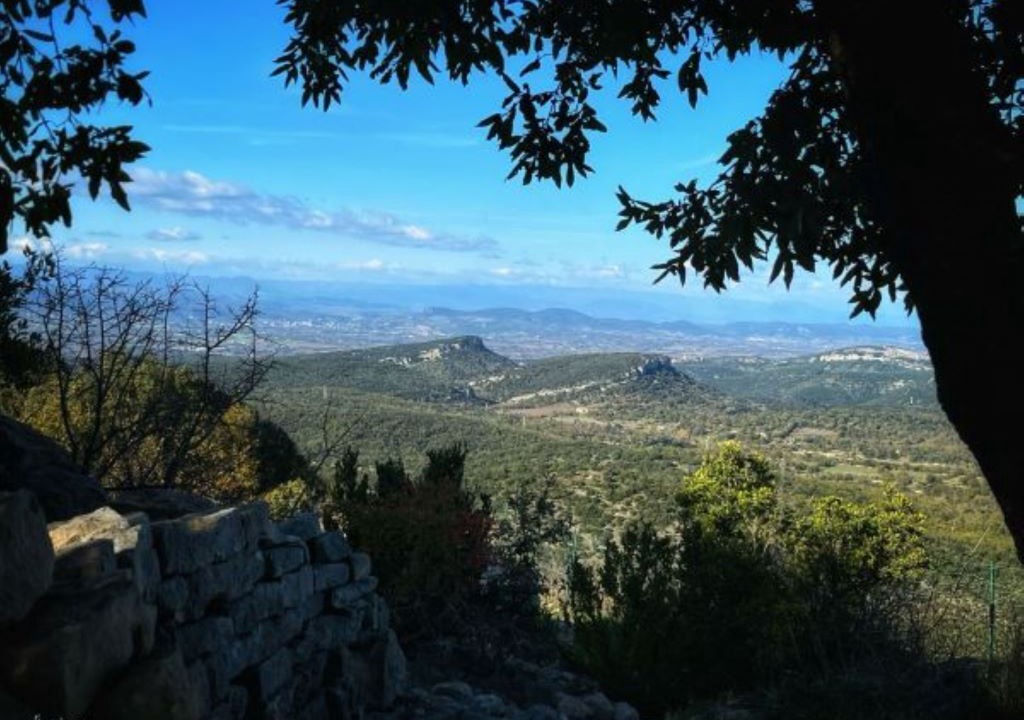 Photo of Others in Vallerargues
