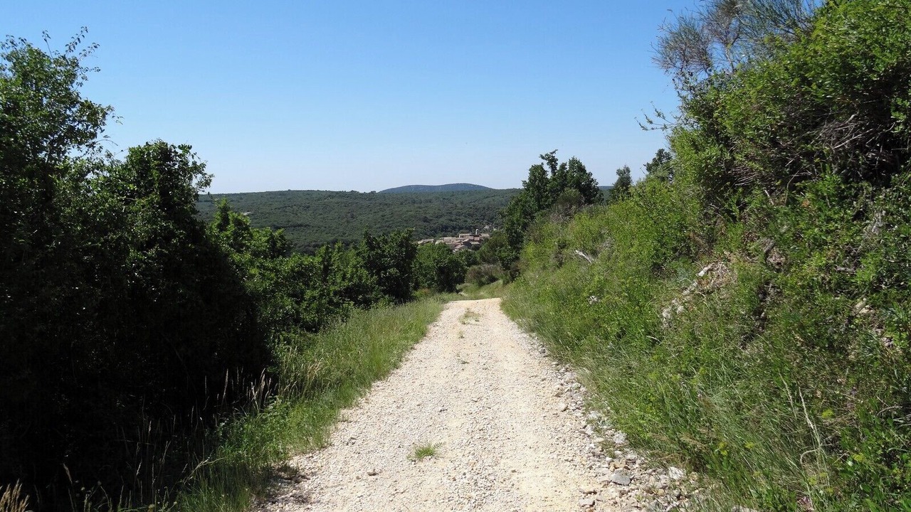 Photo of Others in Vallerargues