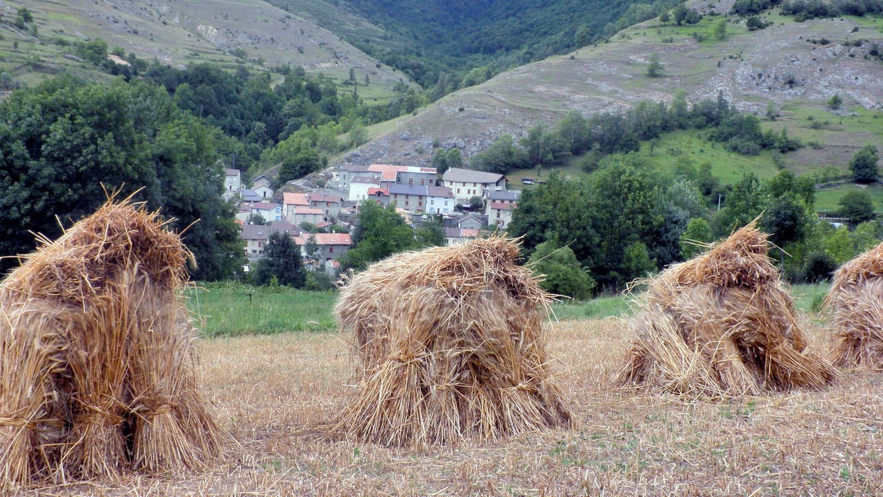 Photo of Others in Caussou