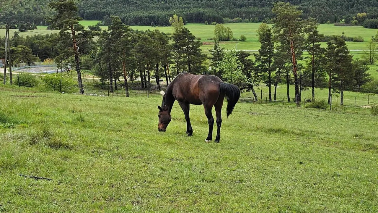 Photo of Outdoor in Seranon
