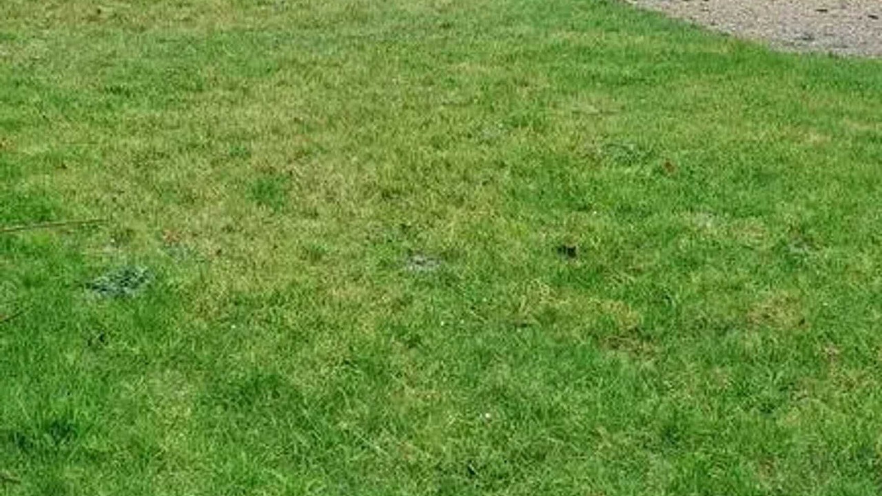 Photo of Outdoor in Savieres