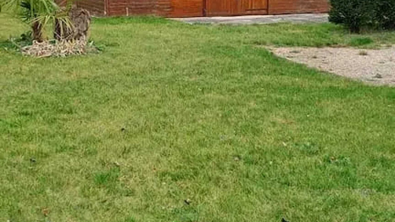 Photo of Outdoor in Savieres