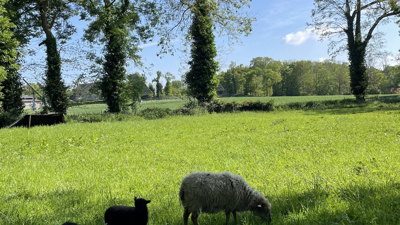Photo of Others in Pleudihen-sur-Rance