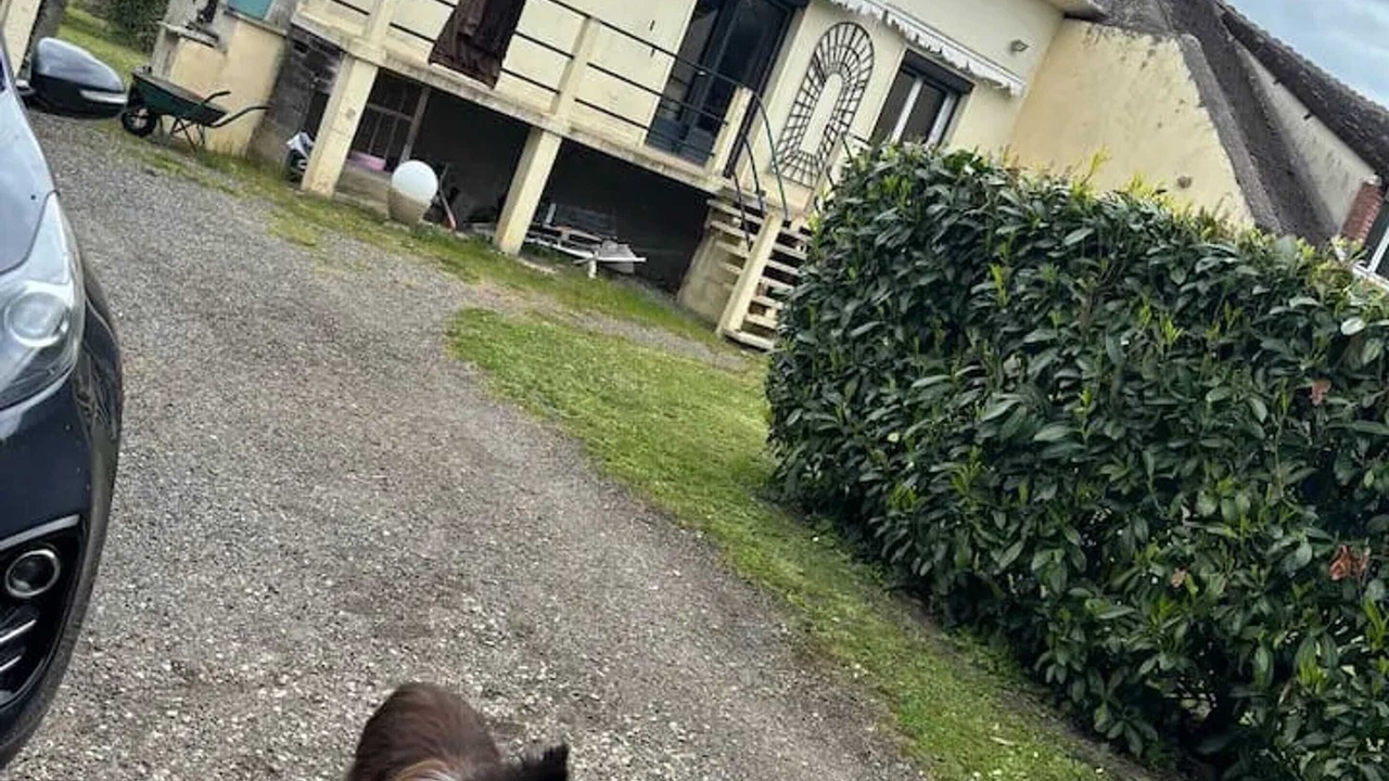 Photo of Outdoor in Noe
