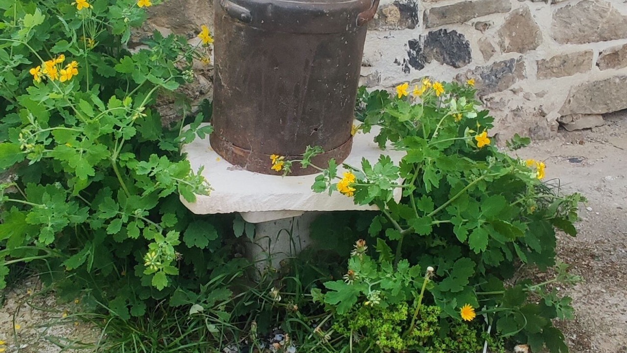 Photo of Outdoor in Lys