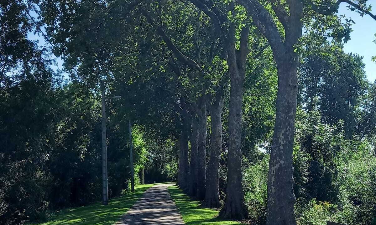 Photo of Outdoor in Arzillieres-Neuville