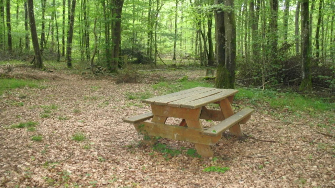 Photo of Outdoor in Coulours