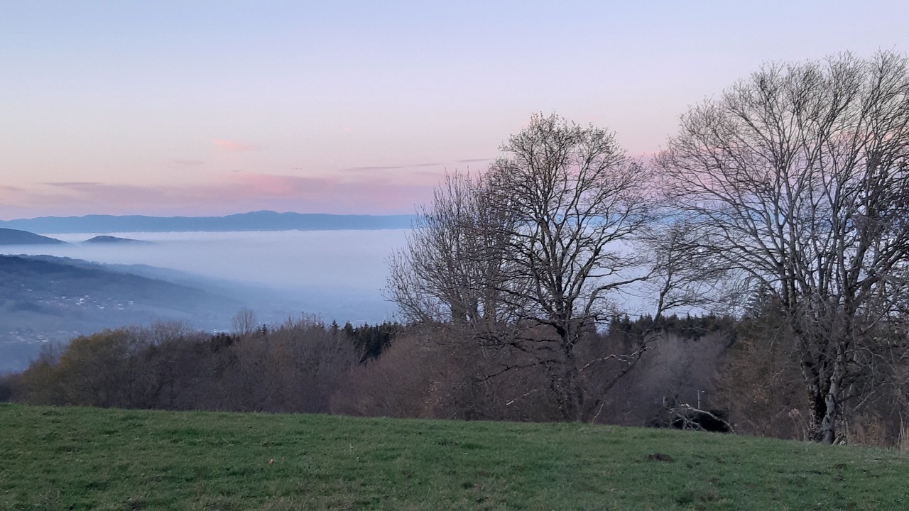 Photo of Others in La Roche-sur-Foron