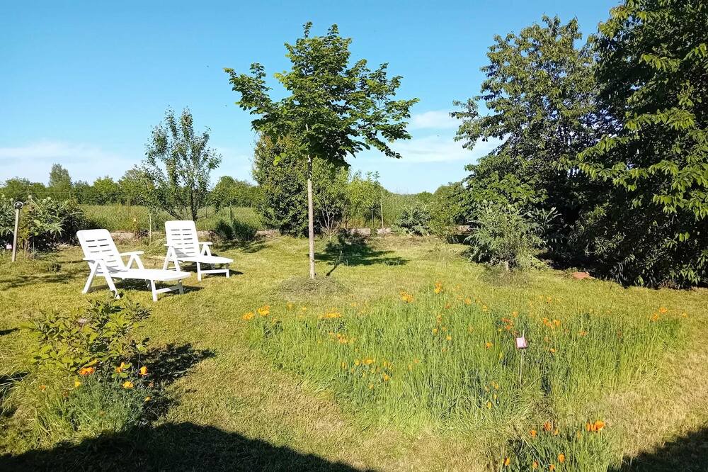 Photo of Outdoor in Saint-Alban