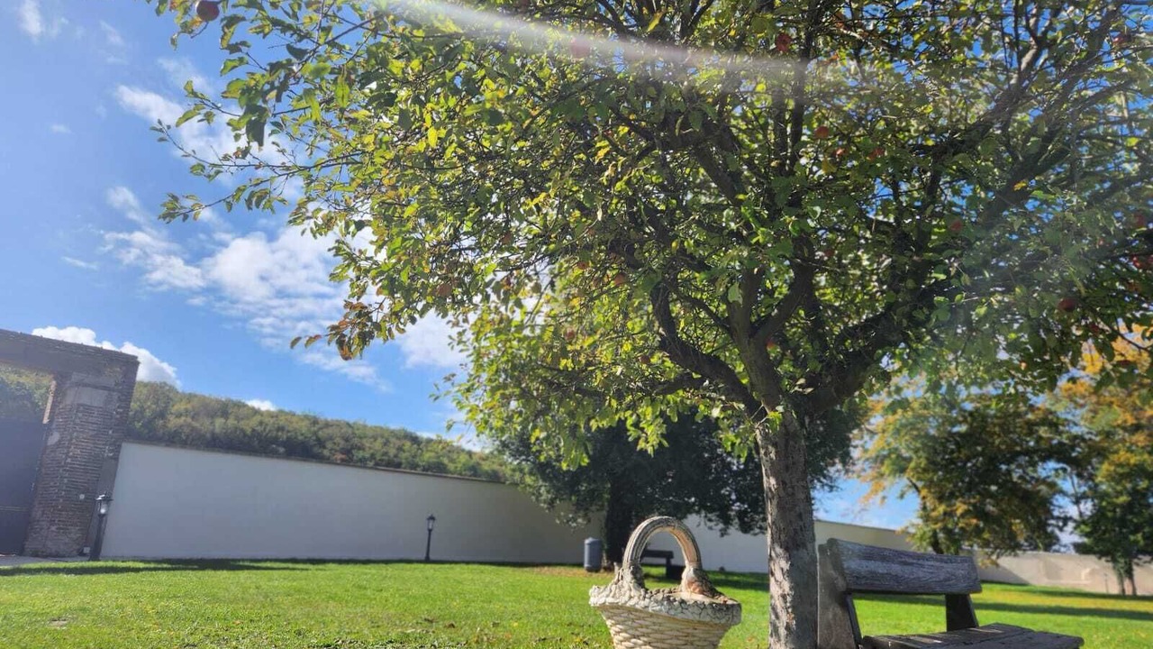 Photo of Outdoor in Soucy