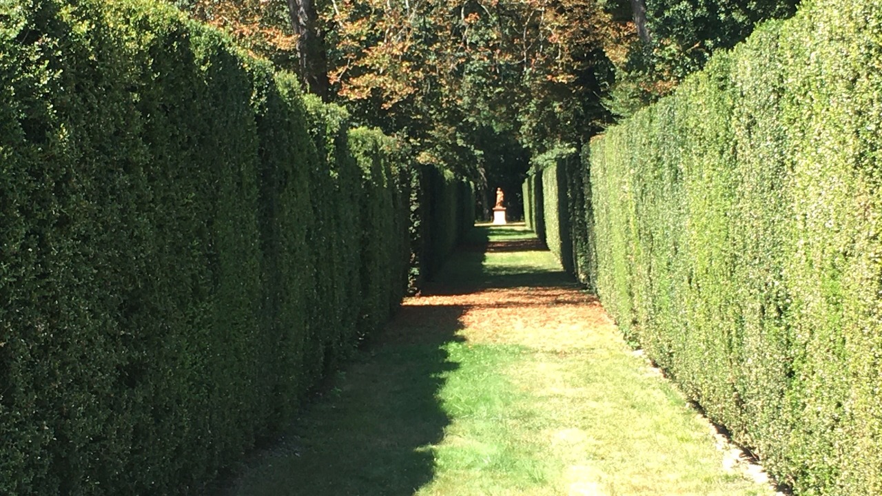 Photo of Outdoor in Cintegabelle